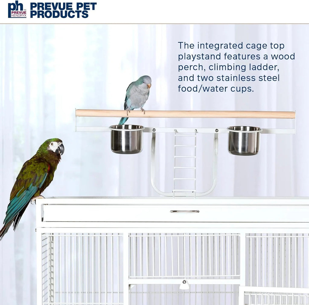 Prevue Pet Products Wrought Iron Select Bird Cage, Chalk White, 36-Inch x 24-Inch x 66-Inch - 3154C