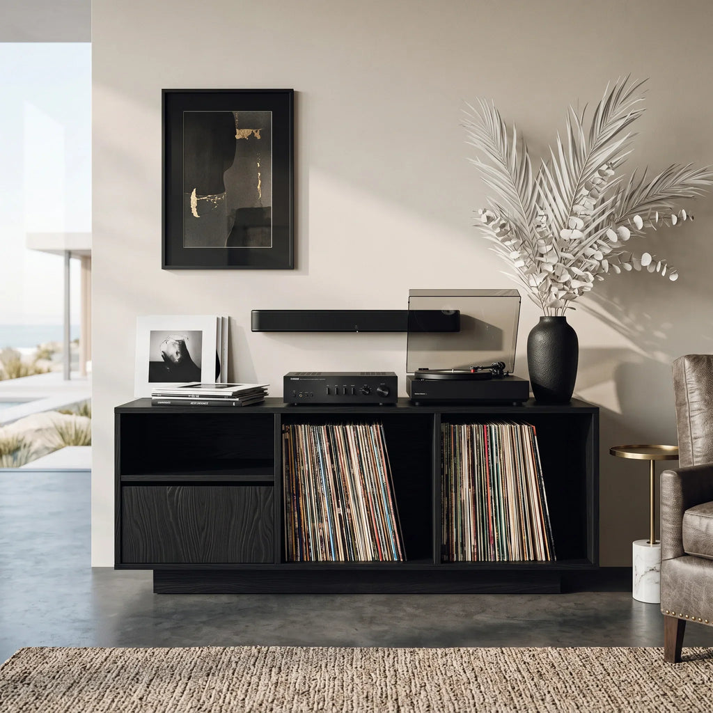 Contemporary Turntable Record Cabinet For Living Room - view 4