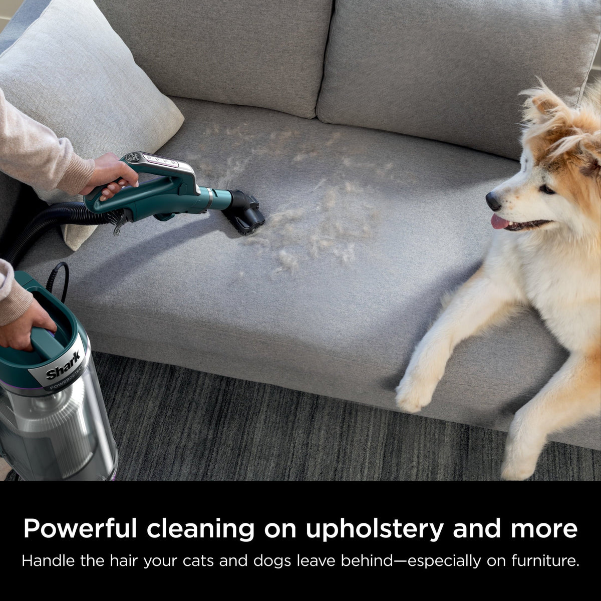 Shark POWERDETECT Upright Vacuum With DuoClean Detect, Black/Teal - AZ4000