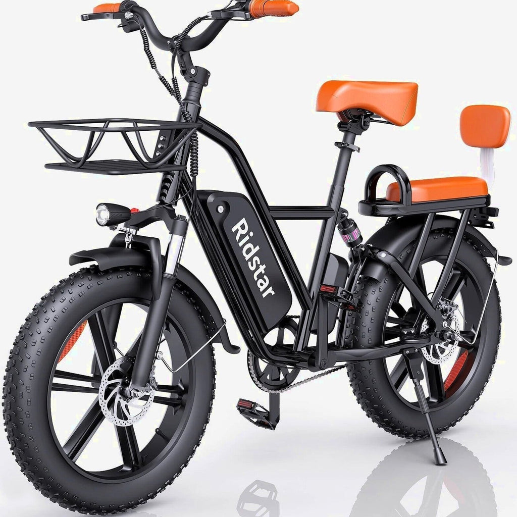 Electric Adult E-Bike 750W 48V 15AH 20in x 4.0 Fat Tire 2 Seater - UL2849