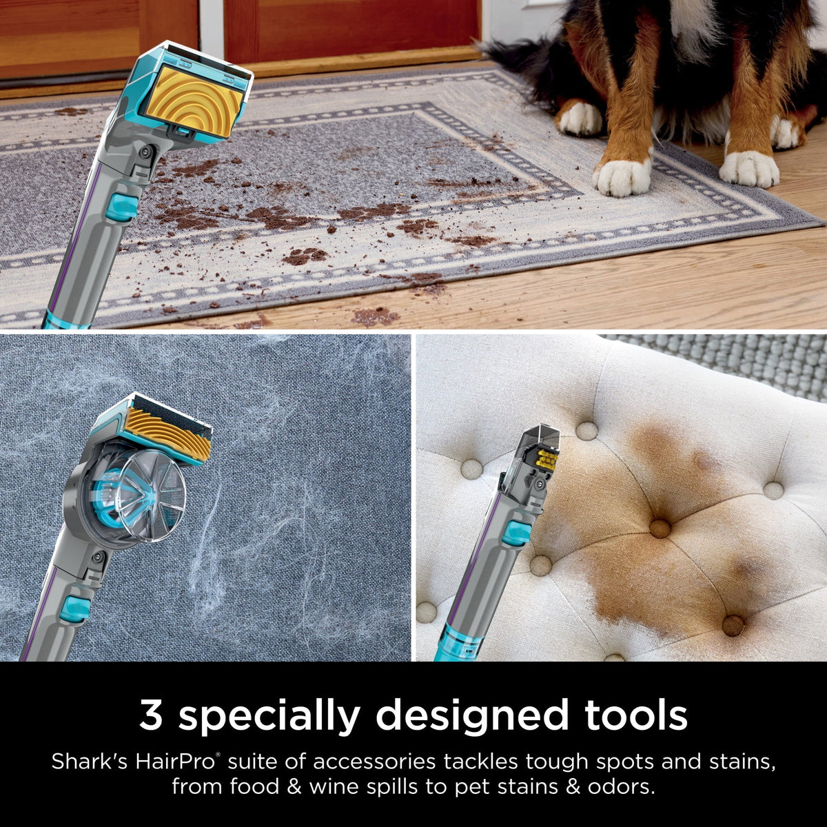 Shark CarpetXpert 2-in-1 Upright Deep Carpet Cleaner With HairPro StainStriker Technology, Gray - EX300