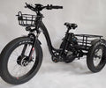 BaFang Fat Tire Electric Trike, 750W 48V 16AH Samsung Battery, 350 lbs Capacity