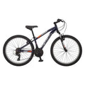 Schwinn Boy Ranger 24-Inch Mountain Bike - Silver And Red