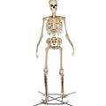 Home Accents Giant Skeleton With LifeEyes, 12 ft, 95 lbs - Halloween Decoration
