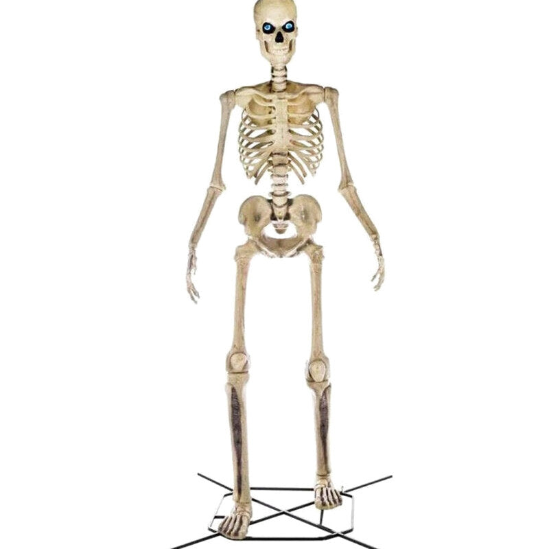 Home Accents Giant Skeleton With LifeEyes, 12 ft, 95 lbs - Halloween Decoration