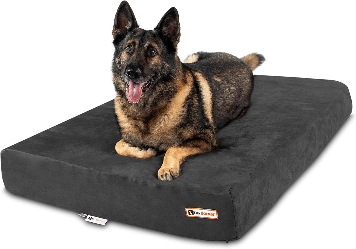 Big Barker Orthopedic Dog Bed, Extra Large, 52in L x 36in W x 7in Th - MicroSuede Cover
