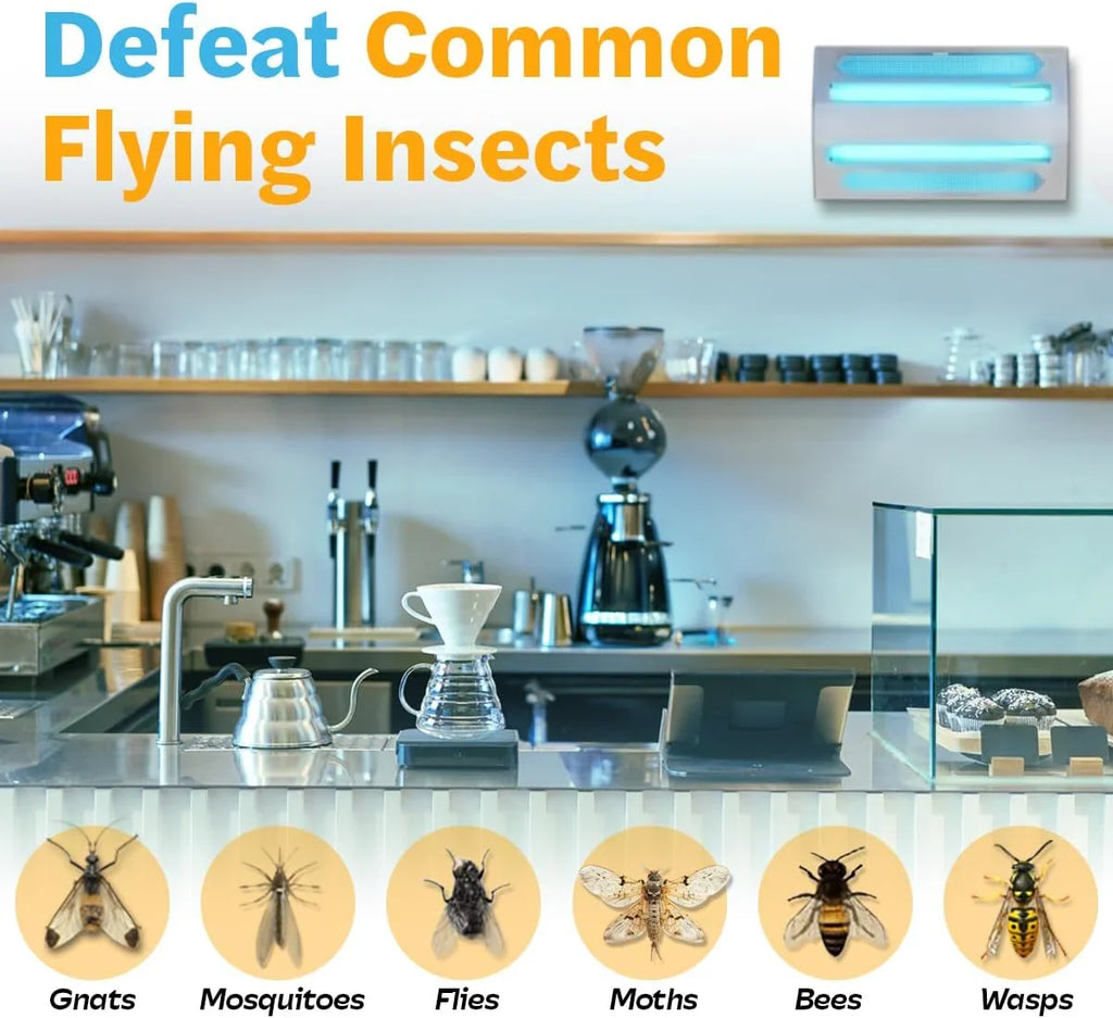 iFly Indoor Wall-Mounted Ultraviolet Fly Trap, Stainless Steel, 2.5 in Depth