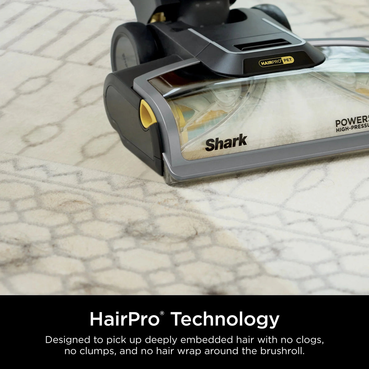 Shark CarpetXpert 2-in-1 Upright Deep Carpet Cleaner With HairPro StainStriker Technology, Gray - EX300