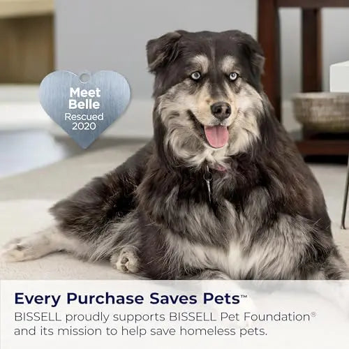 BISSELL Pet Hair Eraser Turbo Lift-Off Vacuum With Self-Cleaning Brush Roll And HEPA Filtration
