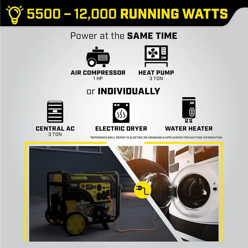 Champion Power Equipment Portable Generator 9000W Running, 11250W Starting, 120/240V - 201218