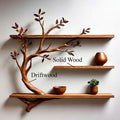 Custom Floating Bookshelf Driftwood Tree Branch Wall Mount